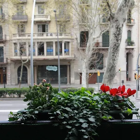 Buho Boutique (adults Only) 4*